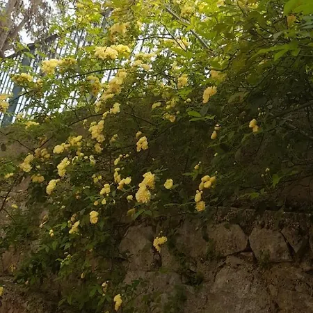 Karya House Appartement Kariá