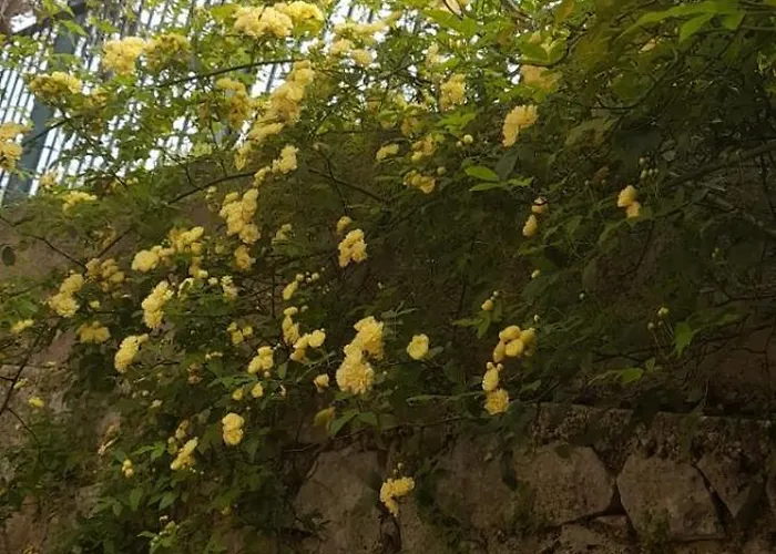 Karya House Apartmán Kariá