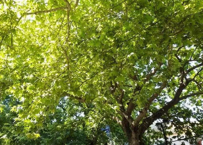 Karya House Apartmán Kariá